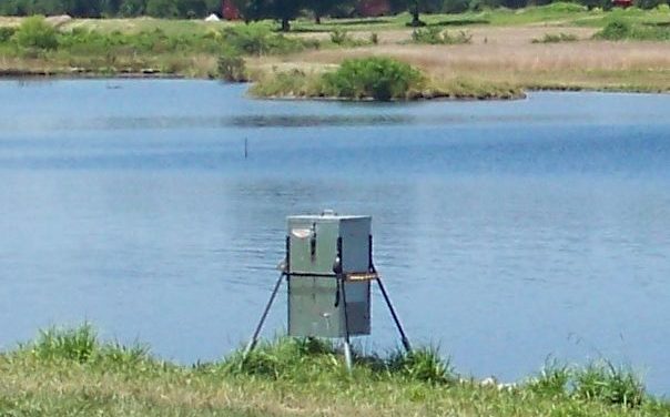 Supplemental Feeding for Recreational Pond