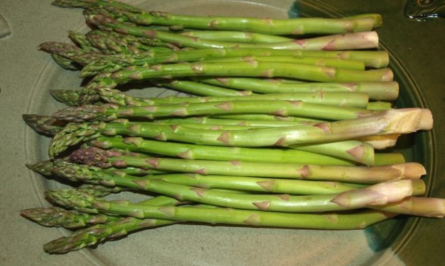 Asparagus