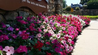 The addition of annual color will add interest to the summer landscape.