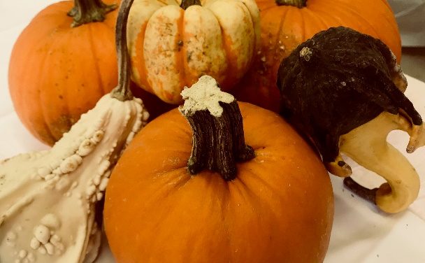 Making the Most of Fall Pumpkins