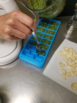 Use ice trays as a mold for freezing single servings of pesto.<br />LayLa Burgess, ©2018, HGIC, Clemson University