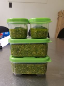 Finished pesto can be easily frozen in plastic molds or containers<br />LayLa Burgess, ©2018, HGIC, Clemson University