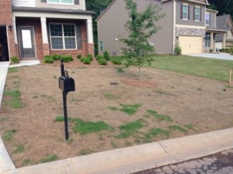Turfgrass management in the Carolinas can be quite challenging.