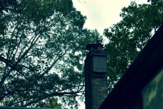 A bat house provides a roosting site for bats in the home landscape.