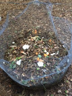 Autumn is not only time to rake leaves but also time to start a compost pile.