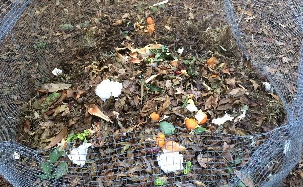 Composting Tips