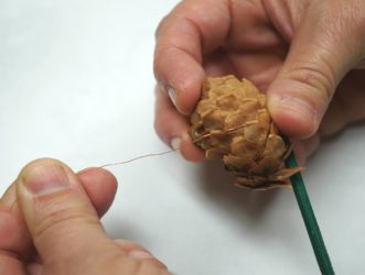 Using a wooden wire pick, wrap the wire around the pine cone scales to secure the cone.