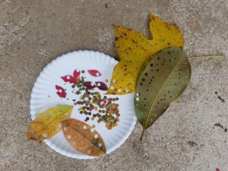 A hole punch and fall leaves makes a beautiful array of colorful, biodegradable confetti.