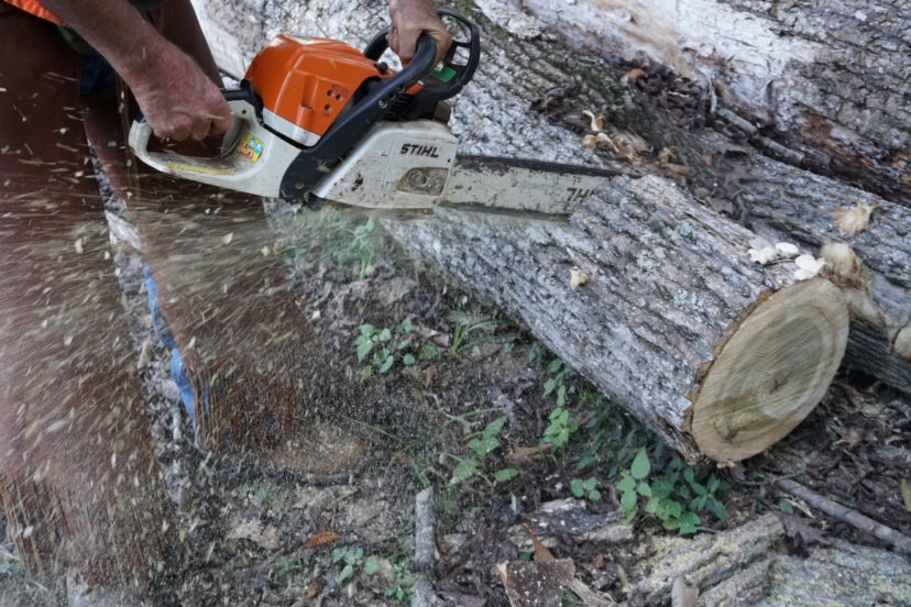 Operating a chainsaw is inherently dangerous.