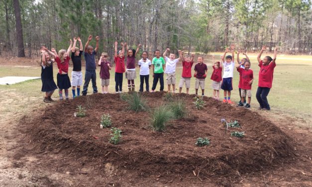 The Dual Benefits of Rain Gardens