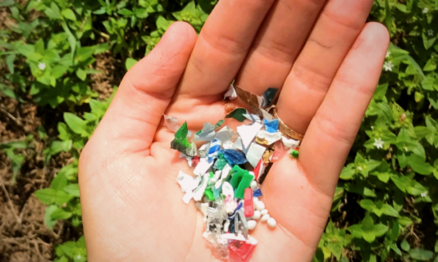 Microplastics: Small Plastics, Big Problem