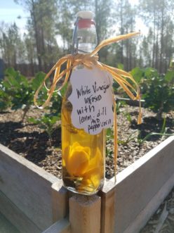 Finished flavored vinegars can be “dressed up” by transferring the vinegar to a more presentable container. Remember: Sterilize all containers before use and make sure there is a good seal.