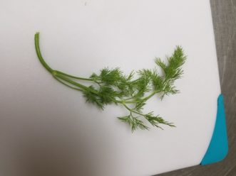 Fresh herbs from the garden, or bought from a store, are ideal for flavored vinegars.