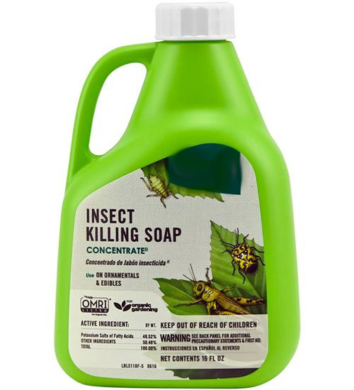 Less Toxic Insecticides Home Garden Information Center