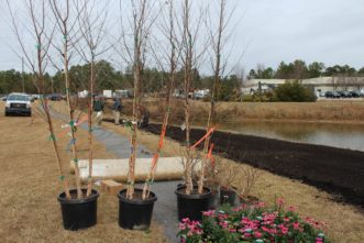 Preparing to plant a shoreline buffer alongside a pond at the Richland County Public Works facility.