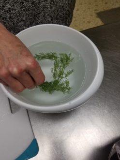 Sanitize all fresh herbs before use when making an infused oil or flavored vinegar.