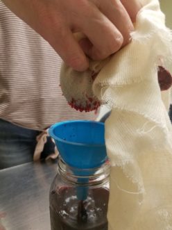 When straining, a gentle squeeze of the cheesecloth with collected debris releases the remaining liquid.