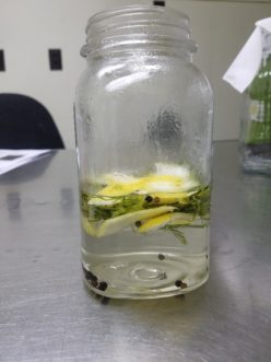 Wide mouth jars or bottles allow for easy access during the processing phase.