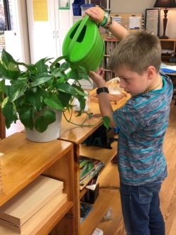 Students enjoy the responsibility of watering, cleaning, repotting, and even propagating indoor plants.