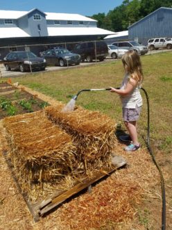 Allow for adequate conditioning time of the straw bales (s) and proper drainage.