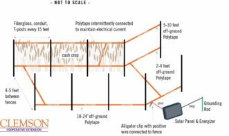Diagram of a typical two-tiered fence system. Walker Massey, Clemson University