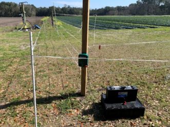 Fencing set up with an energizer and battery instead of a solar panel. Zachary B. Snipes, ©2019 Clemson Extension