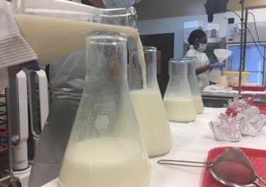 Donor Human Milk: Is it beneficial?