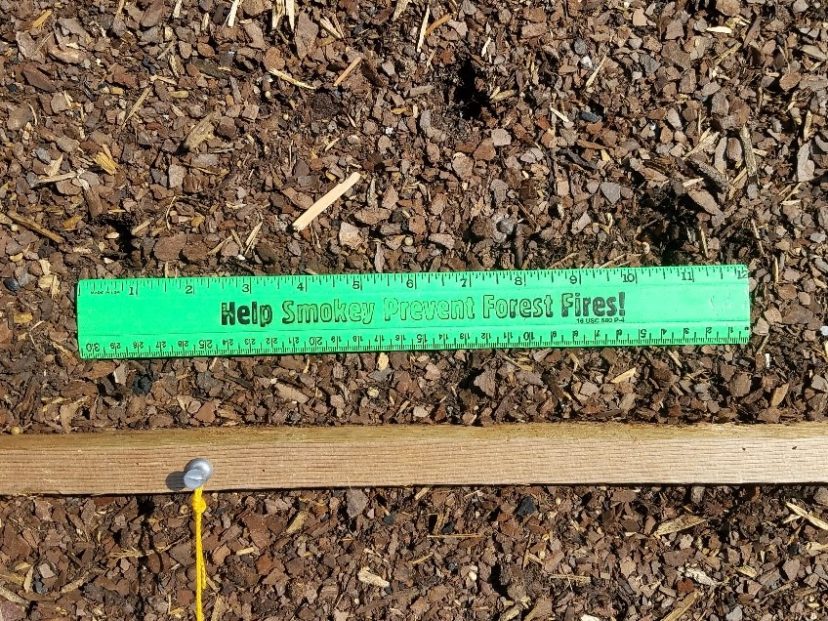 Small-scale gardening is a simple technique used to produce vegetables and herbs.