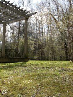 A cushy growth of moss, like this one at Lynches River State Park, is usually a sign of soil compaction, low pH (acidity), and shady conditions. These perfect conditions for moss, but not for most turfgrasses, make a nice place to sit and rest after a paddle on the Lynches River.