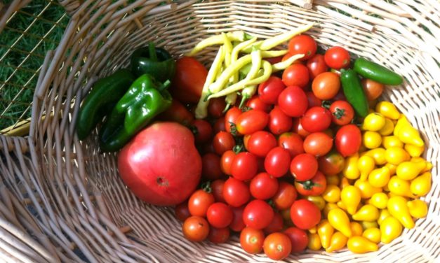 Healthy Tips – Tomatoes