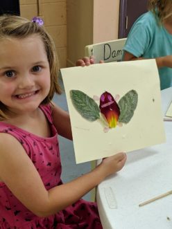 Using a piece of card and bottle of glue, a magical insect is created from flower petals and leaves.
