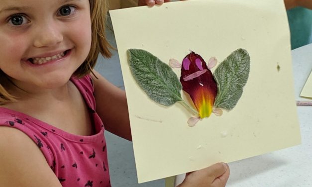 Nature-Based Activities for Children