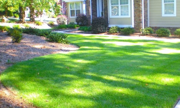 Winterizing Lawns