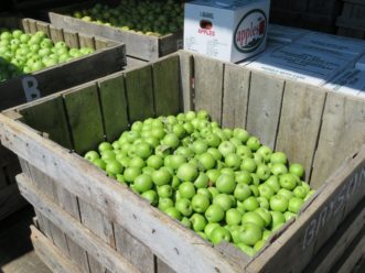 Apple bin with Mutsu apples.