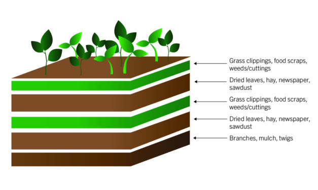 Lasagna Gardening