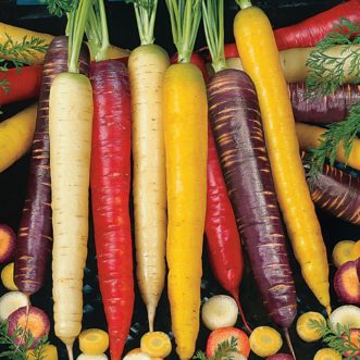 Carrots are not always orange and can also be found in purple, white, red or yellow.