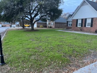 New lawns devoid of permanent grass can receive 10 pounds of ryegrass seed per 1,000 square feet.