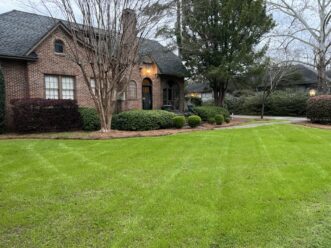 Overseeding a warm-season grass is generally only recommended for bermudagrass lawns due to the increased inputs and plant competition that comes with overseeding.