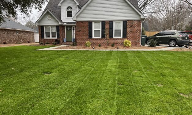 Overseeding With Ryegrass