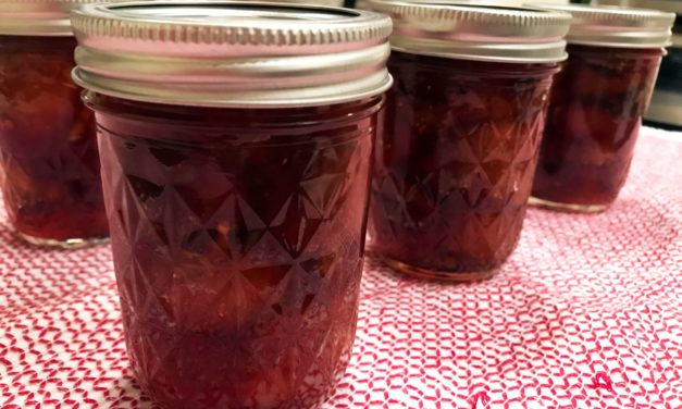 Preserving Figs