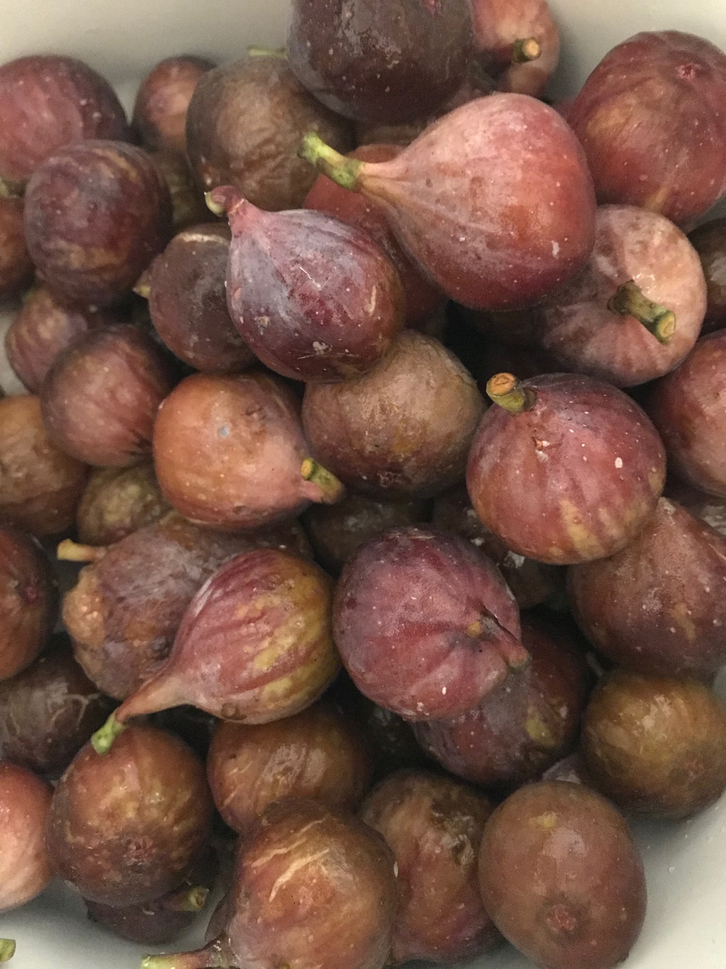 Ripe and freshly harvested figs. Ripe and freshly harvested figs.