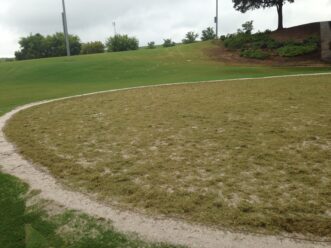 Stolonizing is the broadcasting of stolons over a soil surface which is then pressed into the soil and/or covered with topdressing material.generated