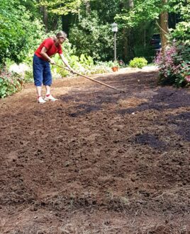 Rake the soil with a steel or hard rake after tilling for a smooth lawn bed.