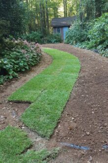Start with the straightest edge as possible when laying sod, and then work outward from there.Ground marking paint (blue in this photo) can be used to mark where the sod will be laid and cut. 
