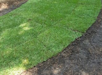 Topsoil was raked up against the outer edges of the newly laid sod to prevent drying