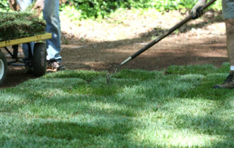 Sod may be purchased in rectangular slabs or small rolls. Carry the sod from the pallets on a cart or wheelbarrow, and use a steel rake to position each piece firmly against adjacent sod pieces.