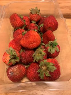 “Strawberries forgotten at the back of the refrigerator; now part of the food waste issue”.
