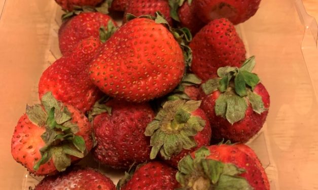 Reducing Food Waste at Home