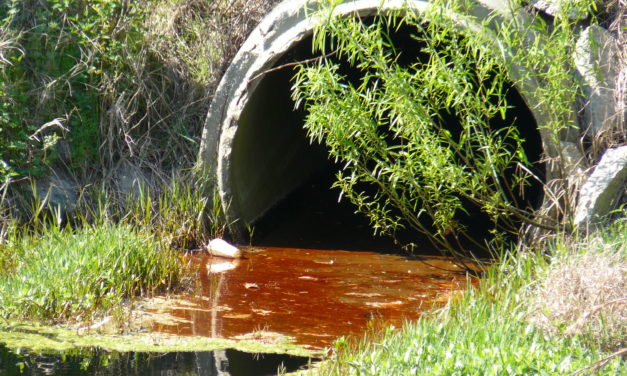 F.O.G. (FATS, OILS, AND GREASE) POLLUTION