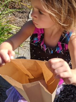 Children use sandwich bags for collecting sticks.